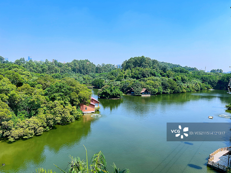 长隆野生动物园图片素材