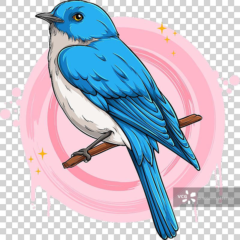 手绘精美西部蓝鸟栖息在树枝上图片素材