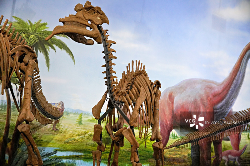 伊春嘉荫恐龙国家地质公园图片素材