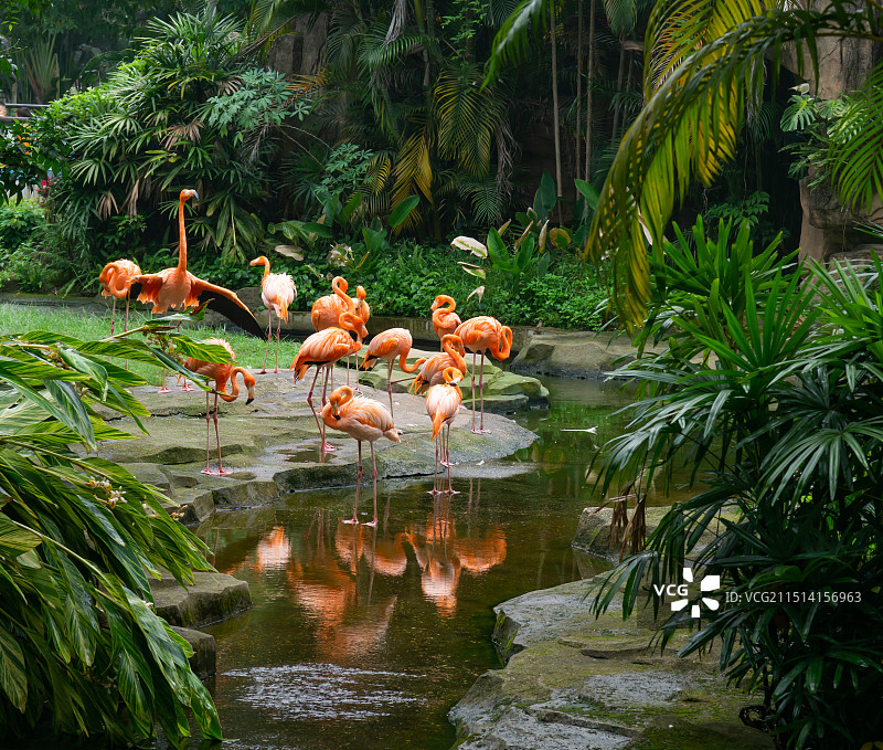 南宁市动物园图片素材