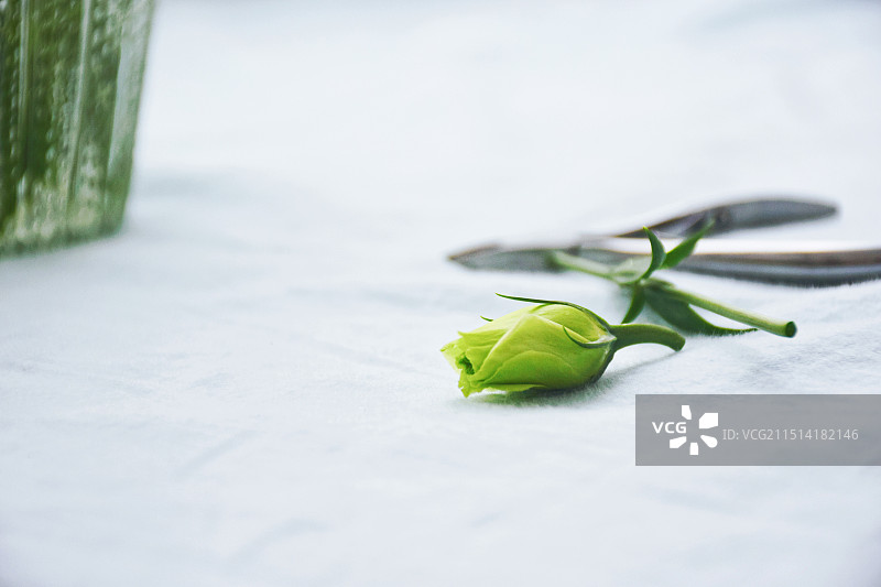 掉落的桔梗花头图片素材