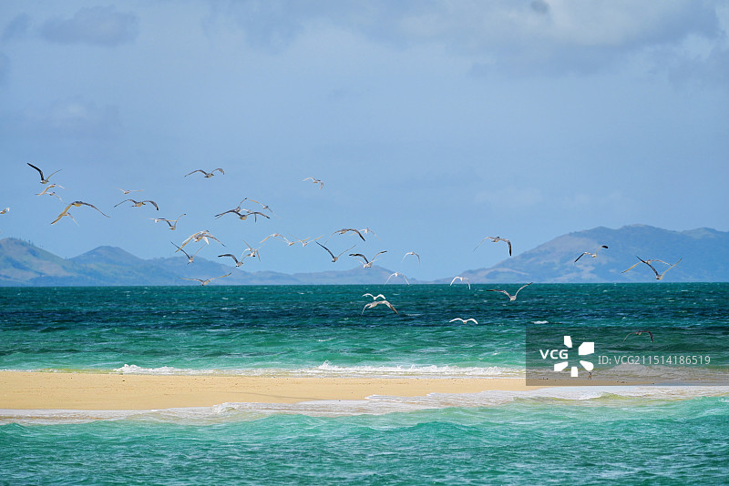 斐济的白沙滩与海鸟美景图片素材