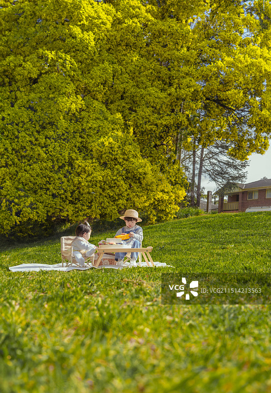 阳光下花园别墅草坪上快乐野餐的四岁哥哥与六个月的妹妹图片素材