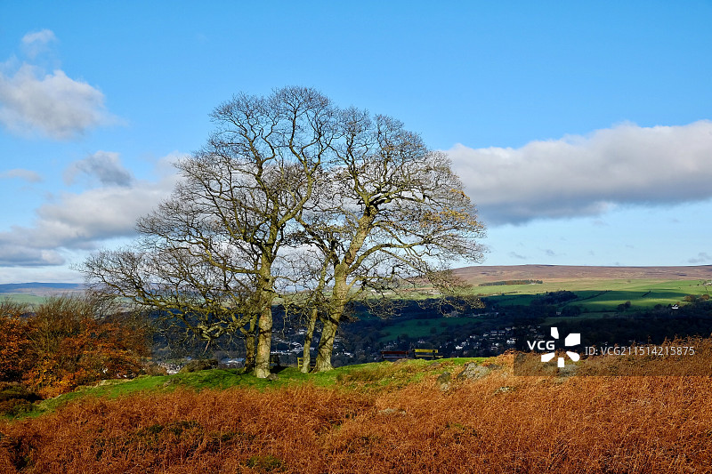 英国Ilkley秋天田野上的树木顶着天空图片素材
