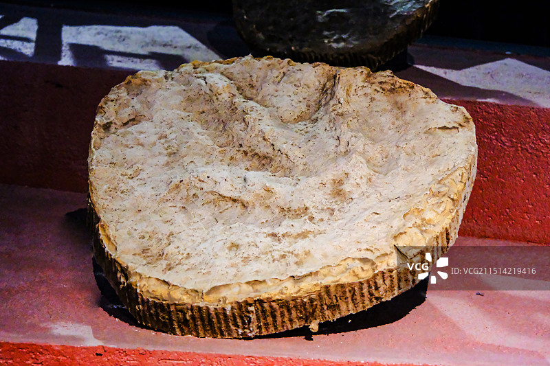 恐龙足迹，昆明市博物馆恐龙化石展，恐龙，恐龙化石，中国双嵴龙图片素材