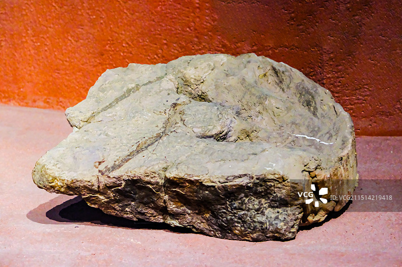 恐龙足迹，昆明市博物馆恐龙化石展，恐龙，恐龙化石，中国双嵴龙图片素材