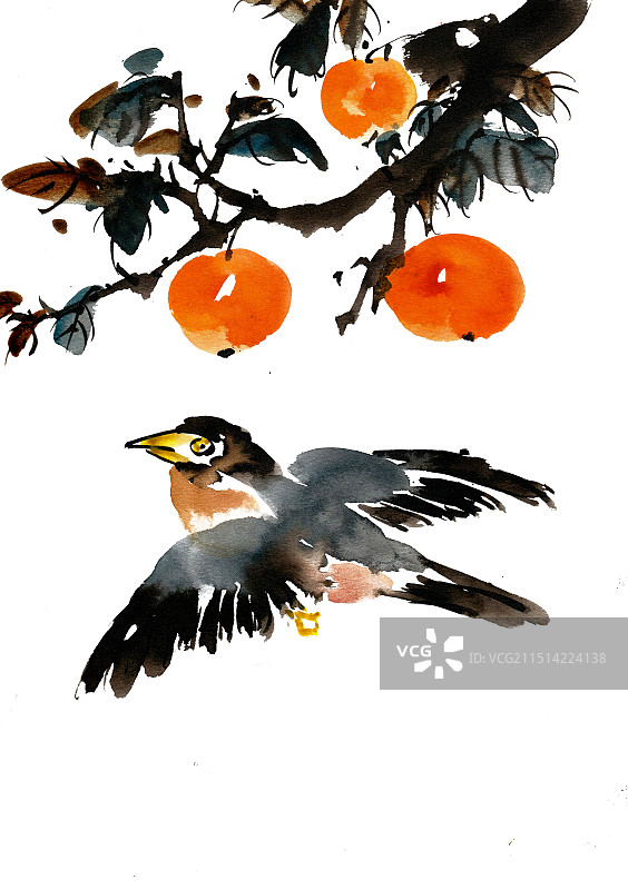 柿子树下的飞鸟图片素材