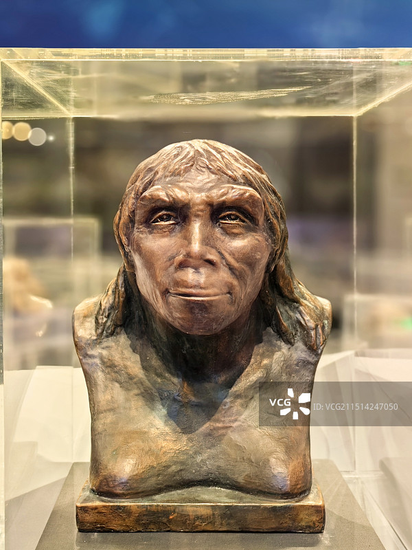 周口店“北京人”复原像图片素材