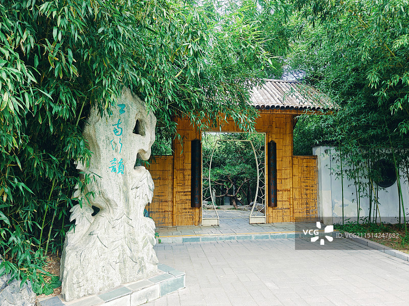 紫竹院公园 江南竹韵图片素材