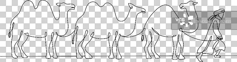 单线骆驼商队之旅图片素材