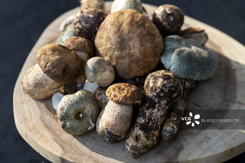 云南野生菌松茸牛肝菌图片素材