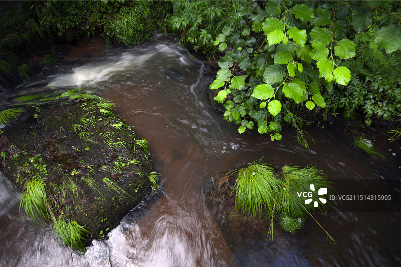 山涧溪流（5）图片素材