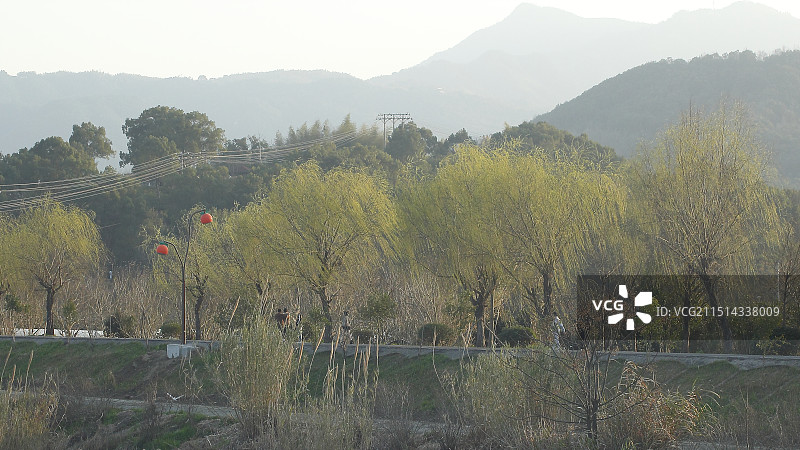 春风十里图片素材