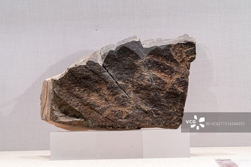 巴彦淖尔阴山岩画，动物图片素材