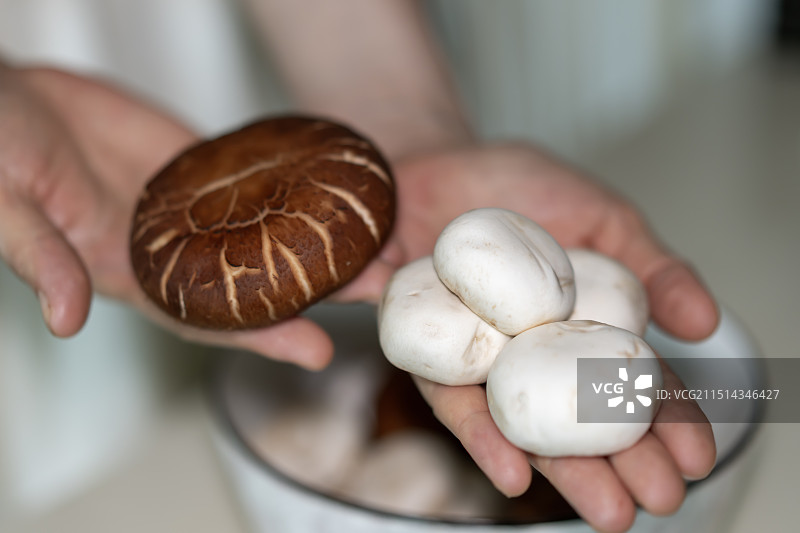 新鲜香菇与白色口菇菌类食品图片素材