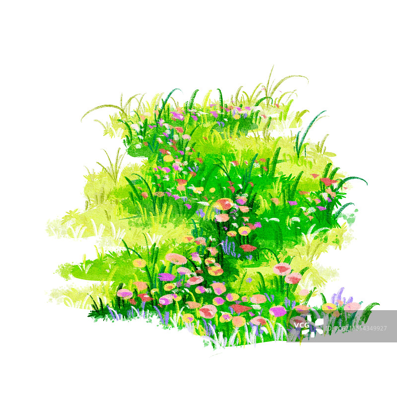草丛插画图片素材