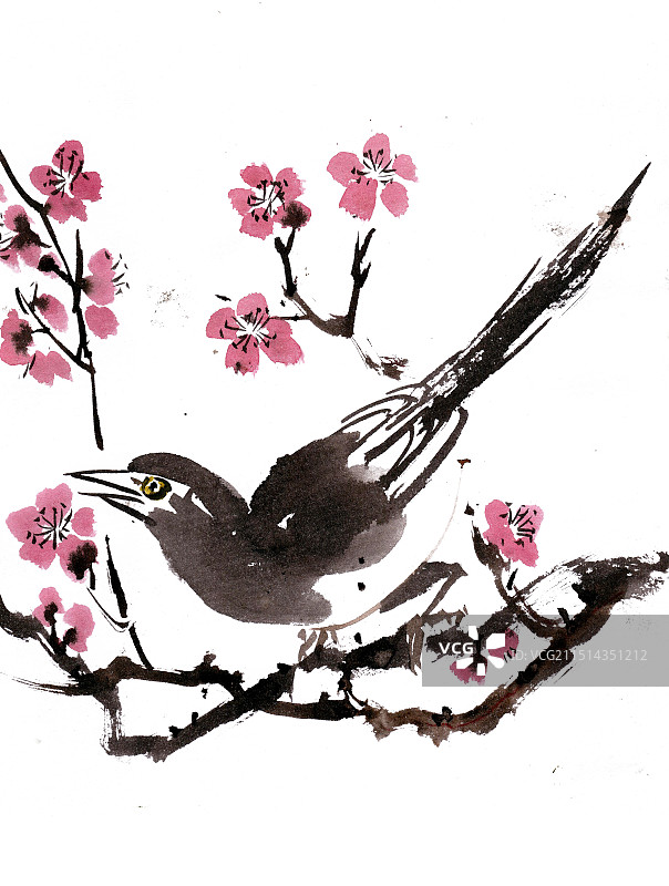 梅花枝头的喜鹊图片素材