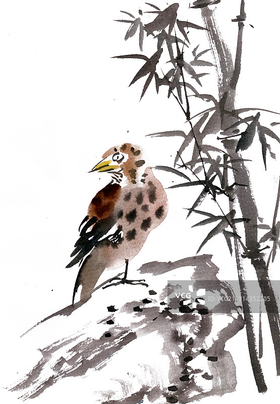 竹子下的鹌鹑图片素材