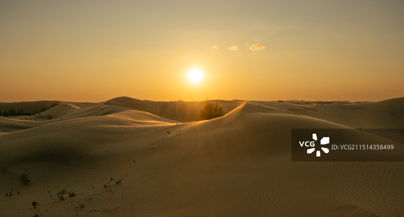 鄂尔多斯恩格贝旅游区图片素材