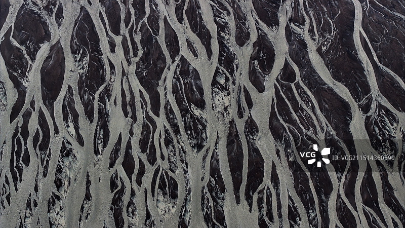 壮美钱塘江“潮汐树”图片素材