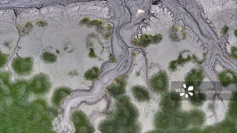 壮美钱塘江“潮汐树”图片素材