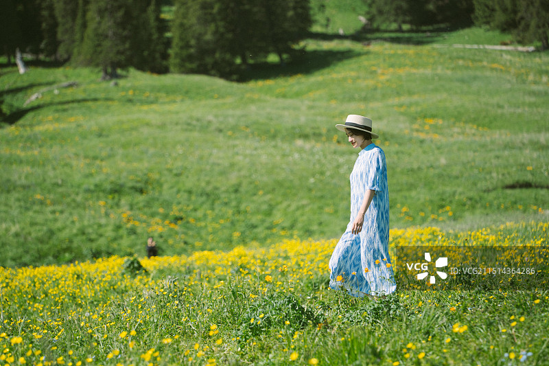 新疆伊犁赛里木湖森林草原行走奔跑图片素材