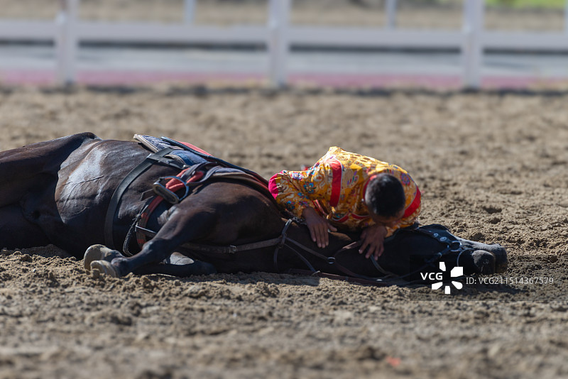 西藏赛马手和赛马图片素材