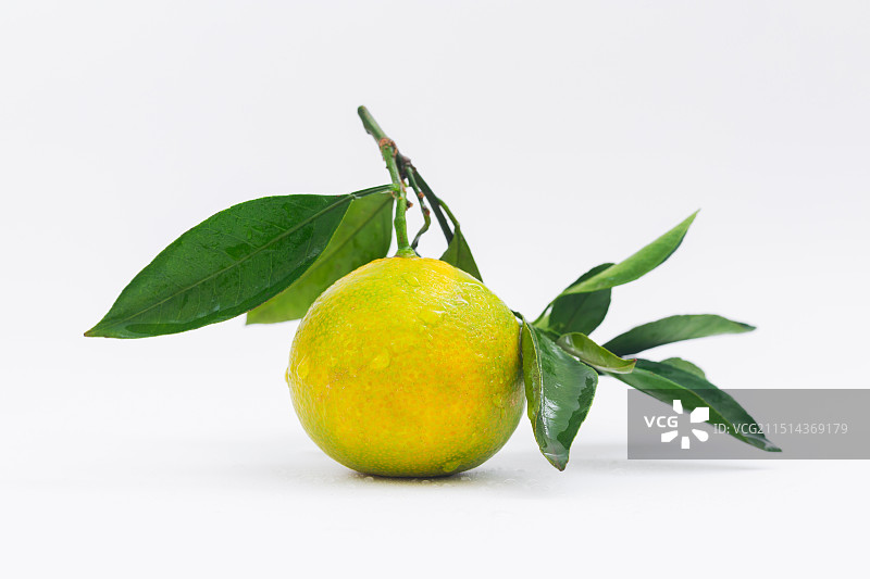 江西南丰蜜桔，南丰橘图片素材