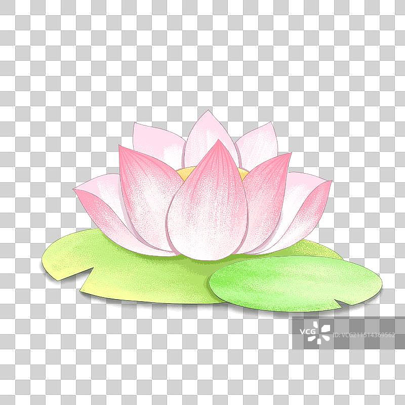 荷花灯图片素材