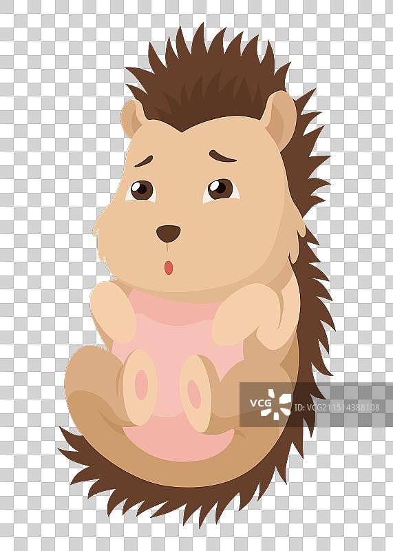 可爱的刺猬，有趣的野生森林动物图片素材