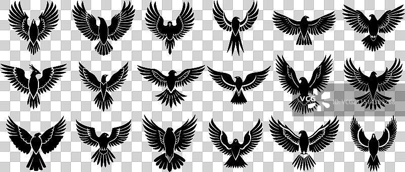 黑色老鹰Logo合集展开翅膀的鸟图片素材