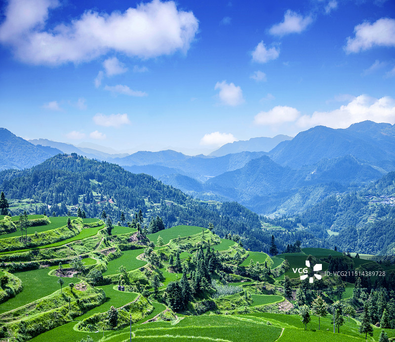 贵州丹寨县排莫村山间稻田图片素材