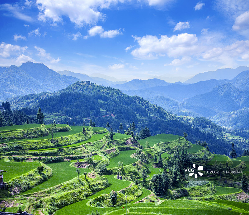 贵州丹寨县排莫村山间稻田图片素材