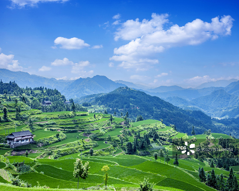 贵州丹寨县排莫村山间稻田图片素材