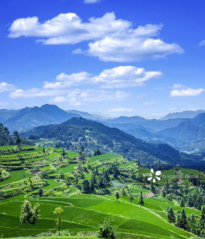 贵州丹寨县排莫村山间稻田图片素材