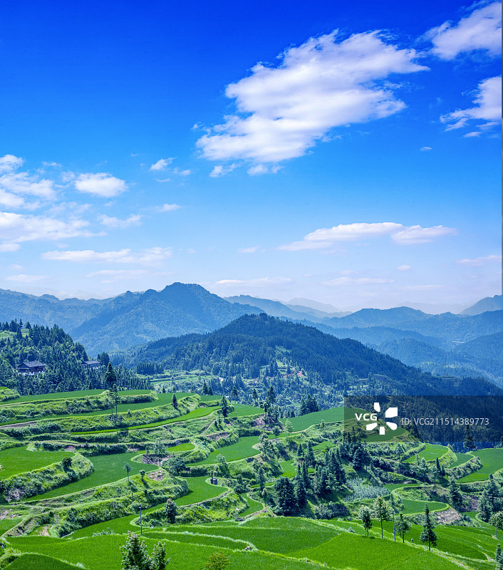 贵州丹寨县排莫村山间稻田图片素材