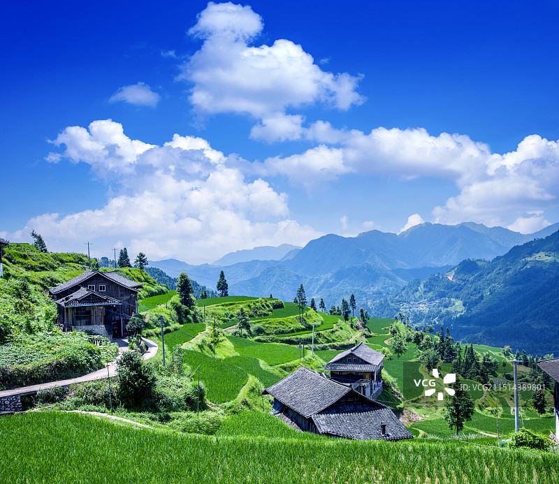 贵州丹寨县排莫村山间稻田图片素材