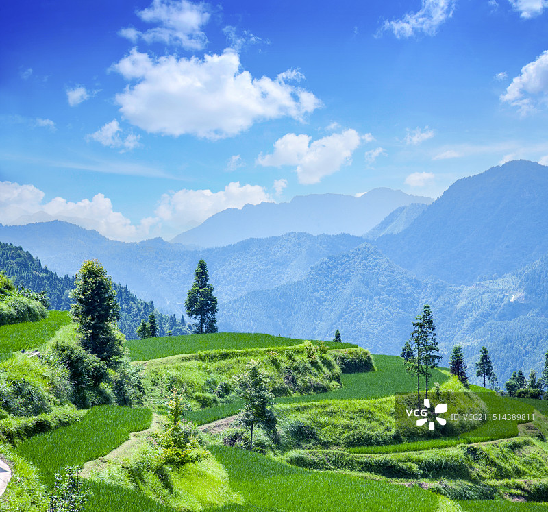 贵州丹寨县排莫村山间稻田图片素材