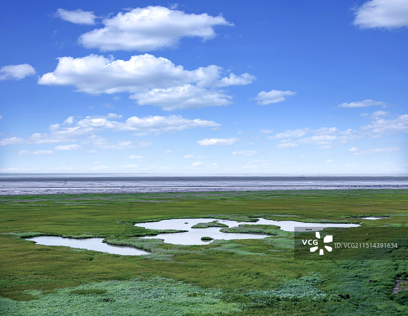 湖南岳阳君山岛洞庭湖滩涂草原图片素材