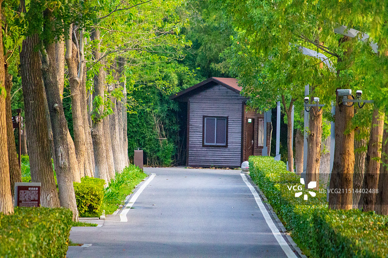 洋湖湿地公园图片素材