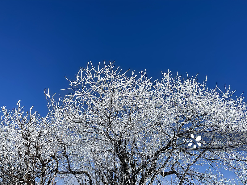 西岭雪山雾凇图片素材