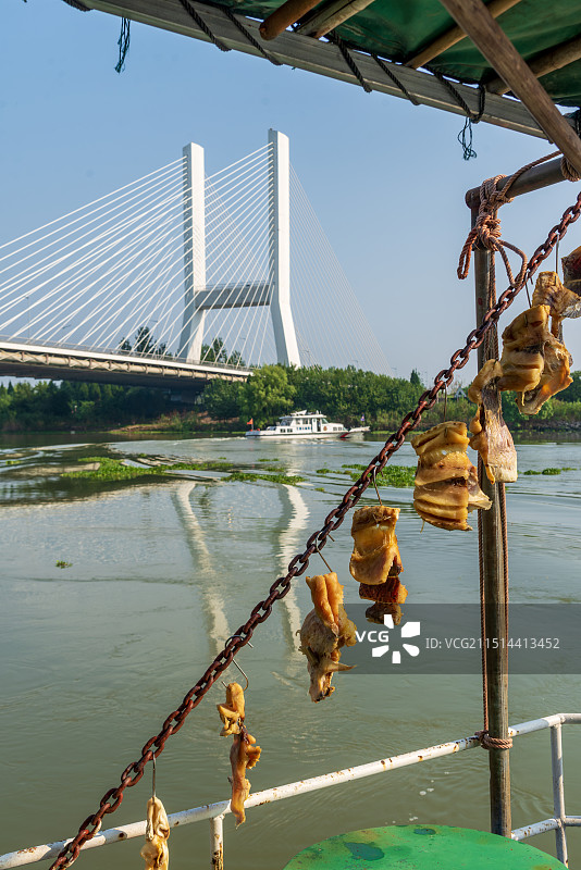 晒鱼干图片素材