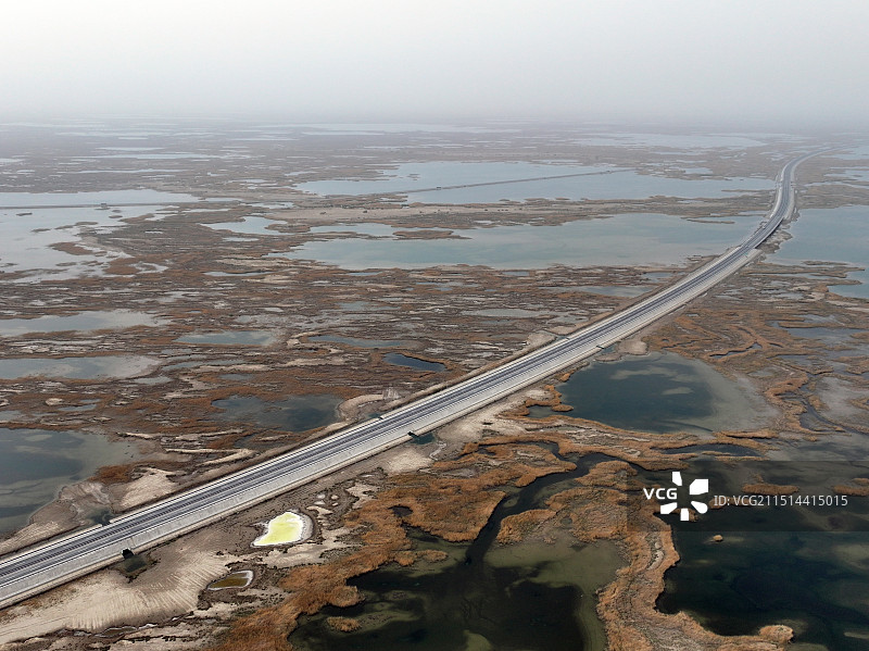 新疆尉犁：乌若高速台特玛湖大桥图片素材