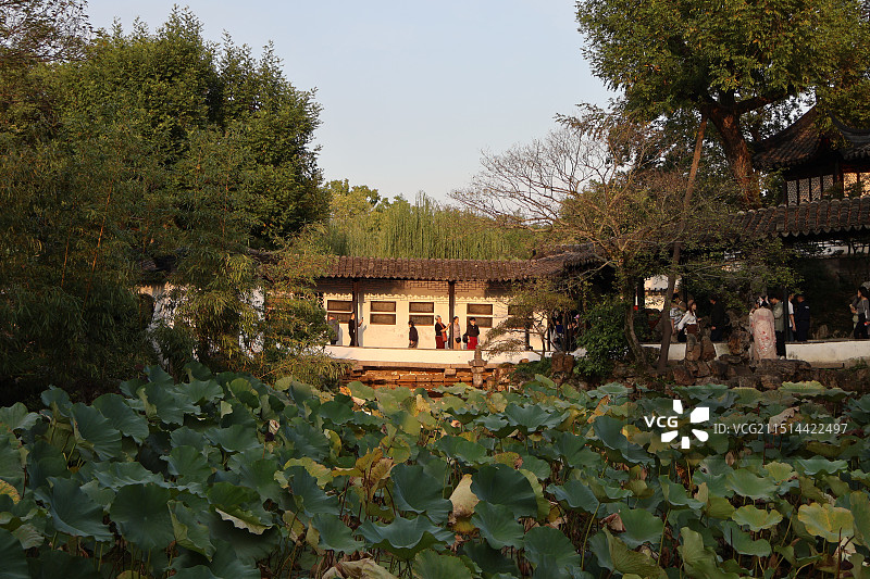 江苏苏州拙政园园林亭台楼阁与荷塘图片素材