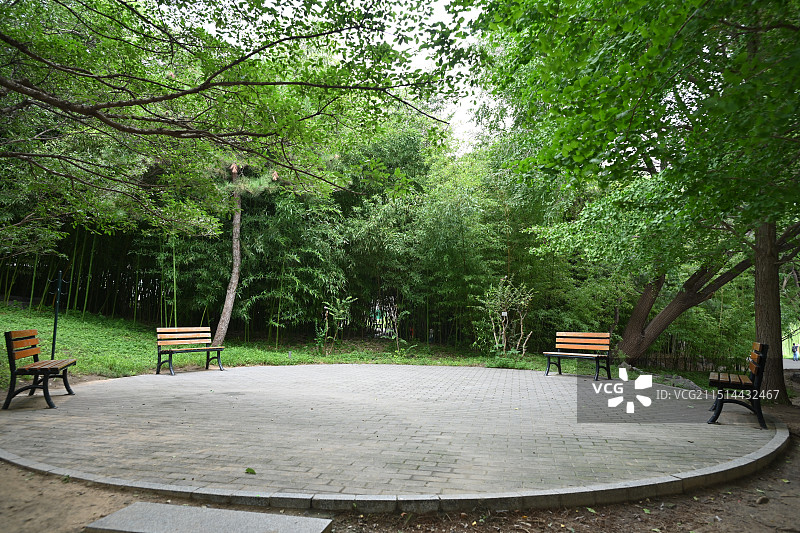 紫竹院公园绿荫图片素材