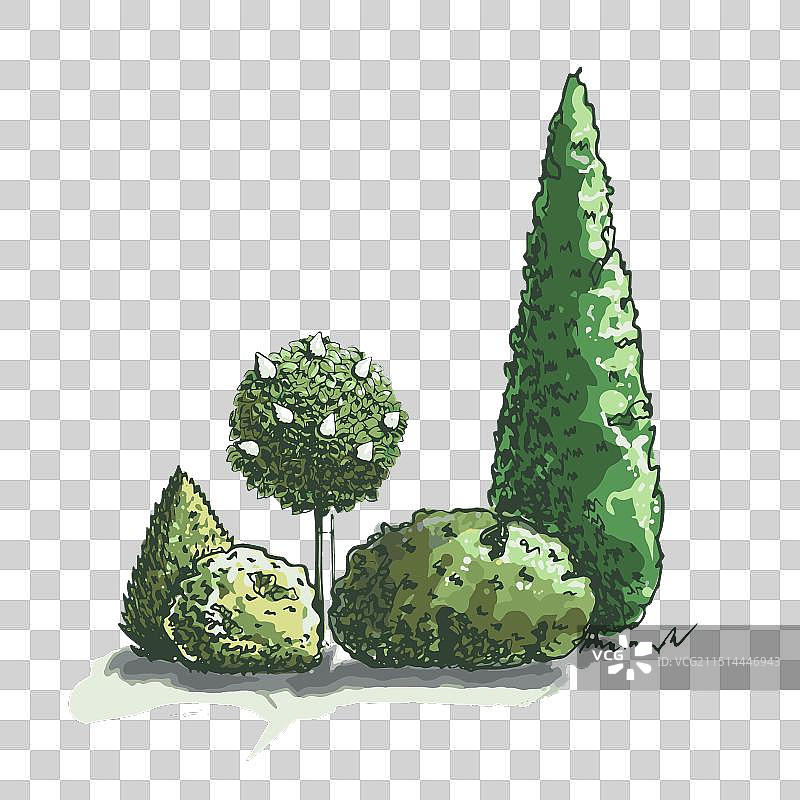 彩色植物群素描图片素材