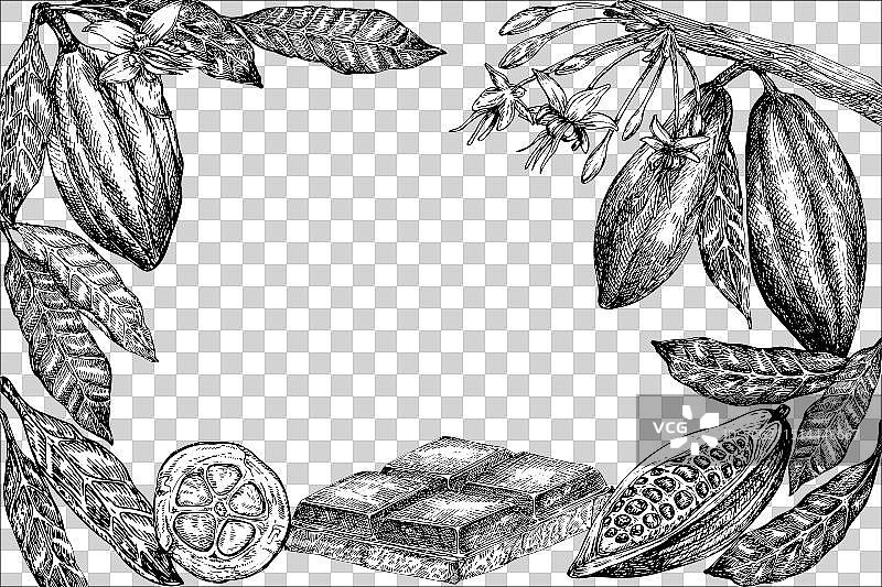 可可果和巧克力图案边框图片素材