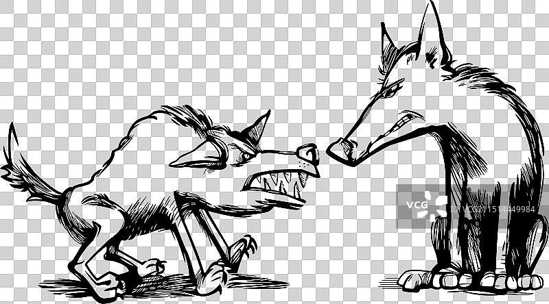 两只愤怒的狼磨牙绘画图片素材