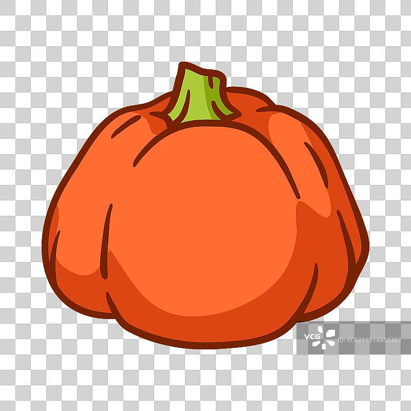 成熟的秋季南瓜丰收图片素材