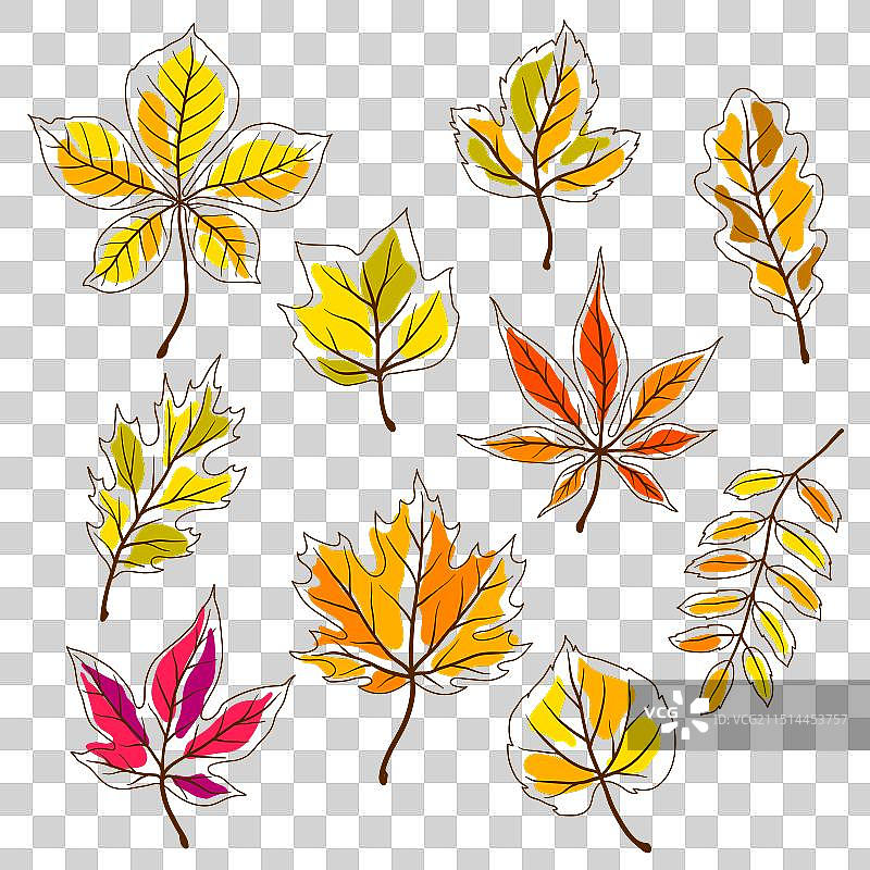 多种秋叶合集图片素材